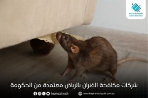 شركات مكافحة الفئران بالرياض معتمدة من الحكومة
