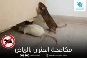 مكافحة الفئران بالرياض