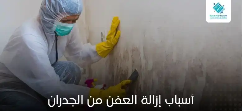 أسباب إزالة العفن من الجدران