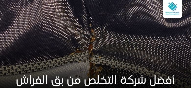 التخلص من بق الفراش نهائياً بخطوات مجرّبة 1 أفضل شركة التخلص من بق الفراش نهائياً