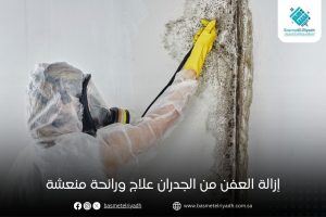 إزالة العفن من الجدران علاج ورائحة منعشة