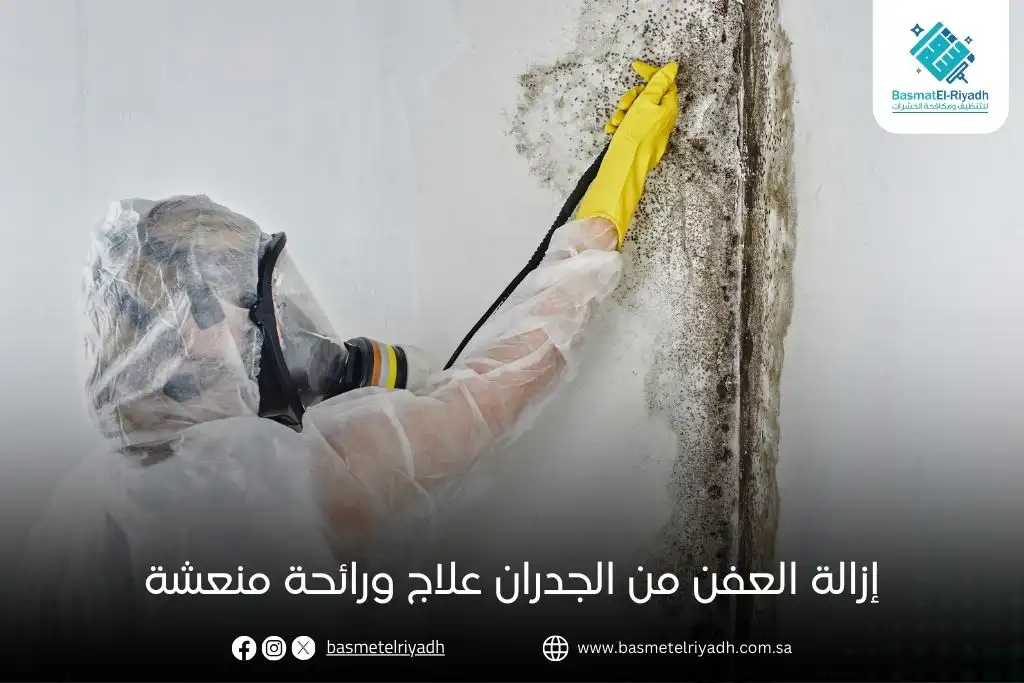 إزالة العفن من الجدران علاج ورائحة منعشة