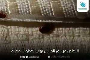 التخلص من بق الفراش نهائياً بخطوات مجرّبة