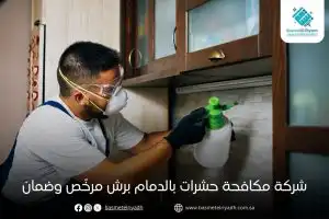 شركة مكافحة حشرات بالدمام برش مرخّص وضمان