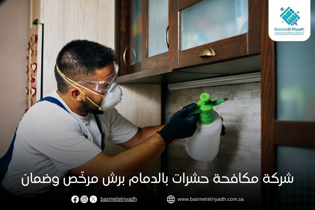 شركة مكافحة حشرات بالدمام برش مرخّص وضمان