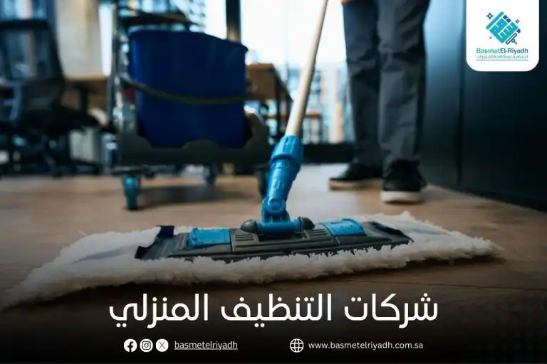 شركات التنظيف المنزلي