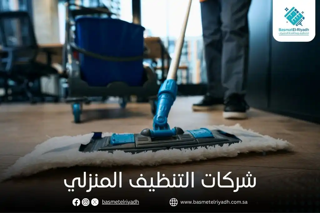 شركات التنظيف المنزلي